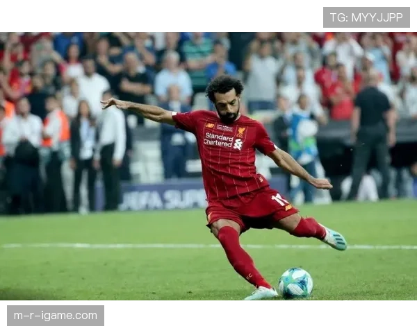 沙勒罗瓦阵容深度提升，为新赛季奠定坚实基础