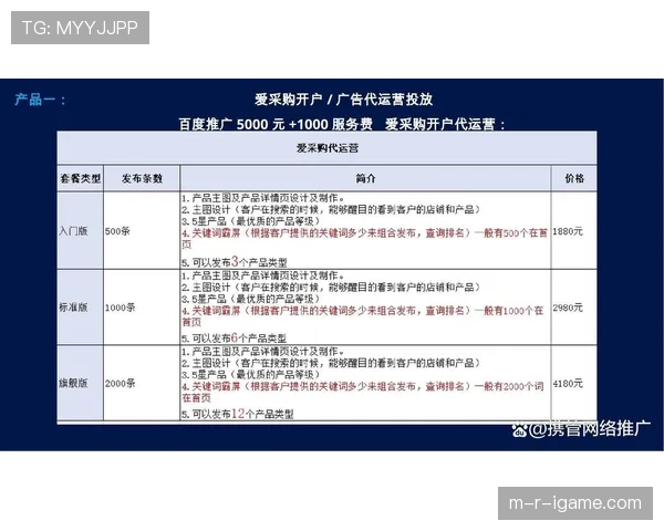 Son持续提升商业价值,赋能企业战略决策与未来增长新引擎 Son持续提升商业价值,赋能企业战略决策与未来增长新引擎