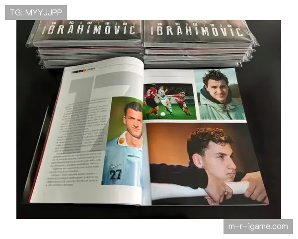 伊布职业生涯解析